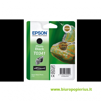 Epson T0341 Juoda, 440 psl.