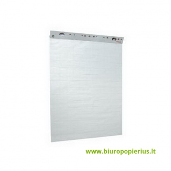  Bloknotas ESSELTE, 590x830 mm, langeliais, 50 lapų
