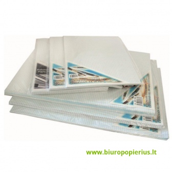  Popierius rašymui ranka, A4, 100 lapų, langeliais