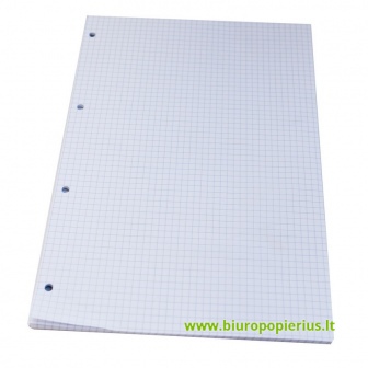  Blokas ABC JUMS, A4, 50 lapų, langeliais - 2 vnt.