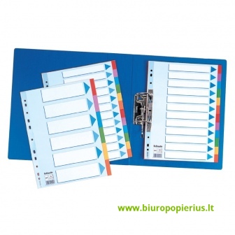  Kartoniniai spalvoti skiriamieji lapai ESSELTE, 10 dalių, A4