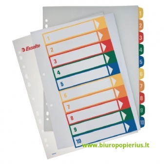  Plastikiniai spalvoti skiriamieji lapai ESSELTE, 1-10, A4, MAXI