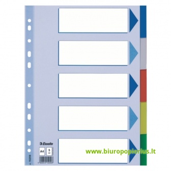 Plastikiniai spalvoti skiriamieji lapai ESSELTE, 5 dalių, A4