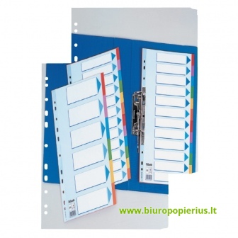  Kartoniniai spalvoti skiriamieji lapai ESSELTE, 1-10, A4