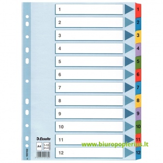  Kartoniniai spalvoti skiriamieji lapai ESSELTE, 1-12, A4