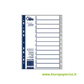  Plastikiniai skiriamieji lapai Dec-Jan, A4