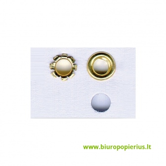  Kniedės (dėž.- 250vnt) 4,8 mm x 4,8 mm