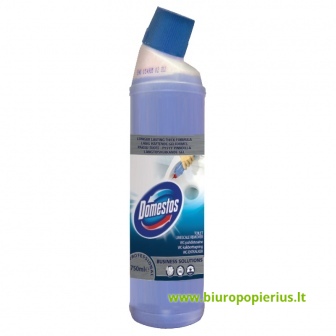  WC valiklis Domestos Professional 0,75L