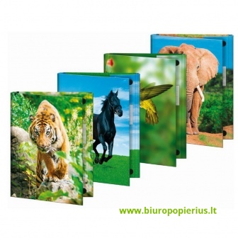  Dėklas sąsiuviniams  BRUNNEN, A4