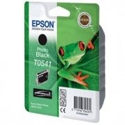 Epson T0541 Foto juoda, 550 psl.
