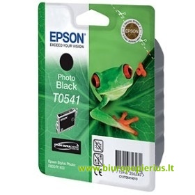 Epson T0541 Foto juoda, 550 psl.