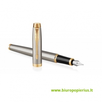  Plunksnakotis PARKER IM Brushed Metal GT F (2017)