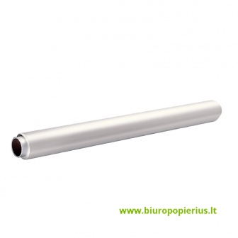  Plėvelė ESSELTE konferencijoms, pristatymams , 20 m, balta sp.