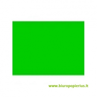  Įrišimo nugsrėlė, chrominė, A4,250 g/m², dėž.-100 vnt., žalia
