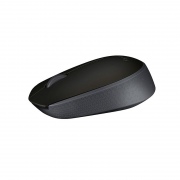  Belaidė pelė LOGITECH M171, juoda sp.