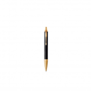  Automatinis tušinukas Parker IM Premium Black/Gold GT