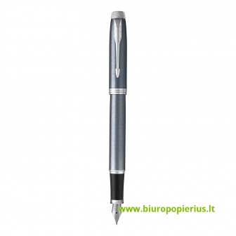  Plunksnakotis Parker IM Light Blue Grey CT Fine