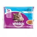  Konservuotas kačių ėdalas WHISKAS, nuo 1 metų, žuvies rinkinys, 4x100 g