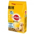  Sausas šunų ėdalas PEDIGREE Junior, su vištiena, 2,2 kg