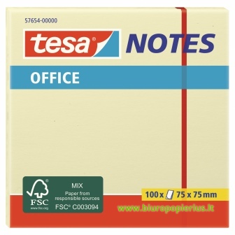  Lipnūs lapeliai TESA Office Notes, 75mm x 75mm, 100 lapelių