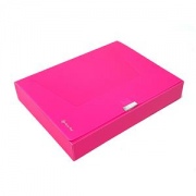  Dėklas - dėžutė dokumentams PANTA PLAST Neon, PP, A4, 55 mm, rožinės sp.
